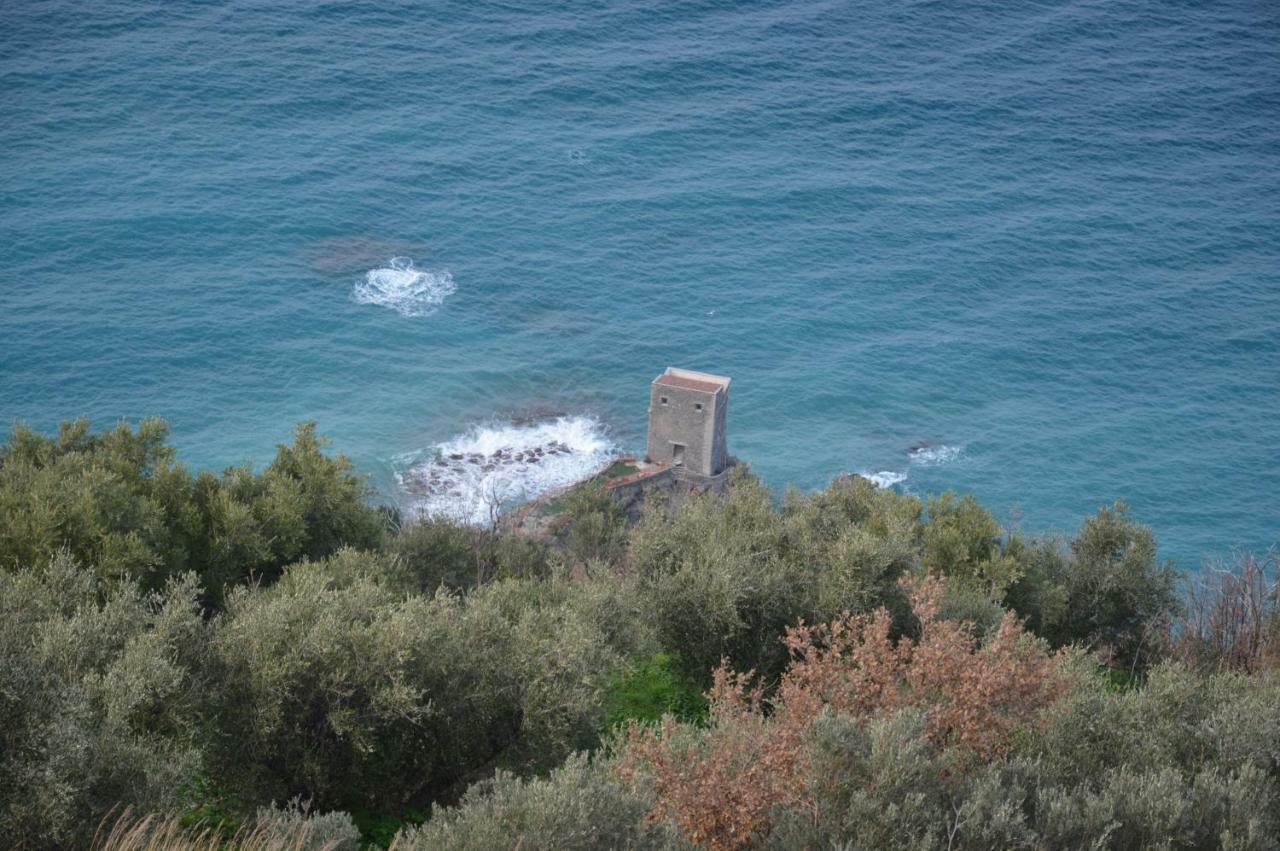 B&B Incantevole Vicolo Piraino Dış mekan fotoğraf